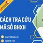 Cách Tra Số Tiền Đã Đóng Bảo Hiểm Xã Hội