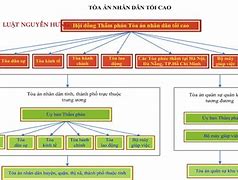 Cơ Cấu Tổ Chức Của Quân Đội Việt Nam