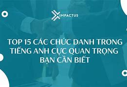 Phó Ban Tài Chính Tiếng Anh Là Gì