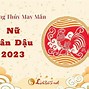 Tử Vi Tân Dậu 1981 Năm 2023